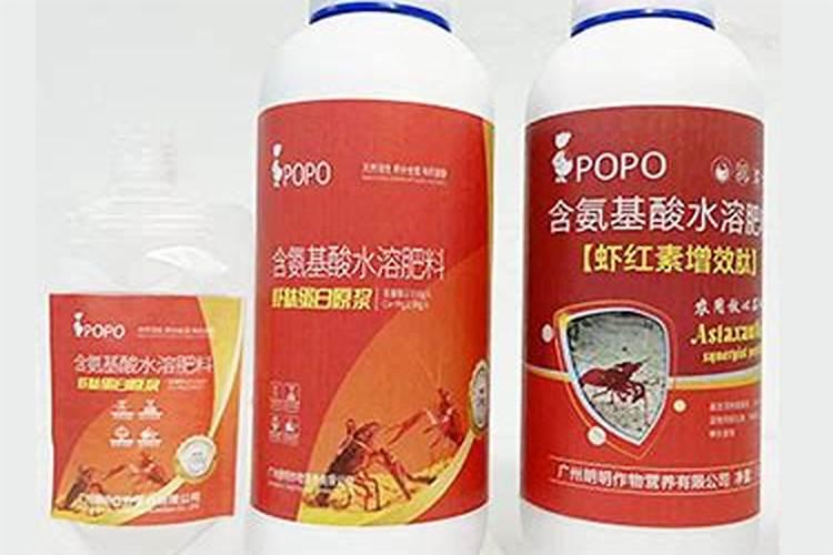 红土适合种什么盆栽