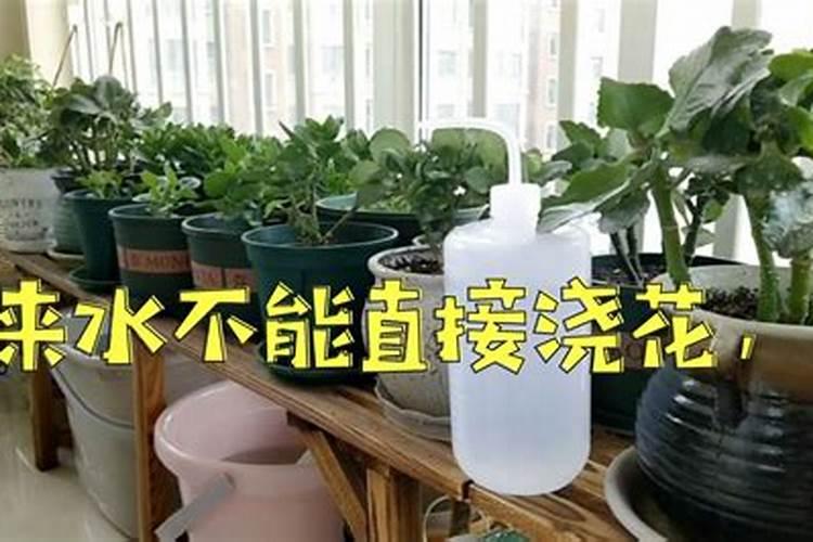 磷钾肥如何用