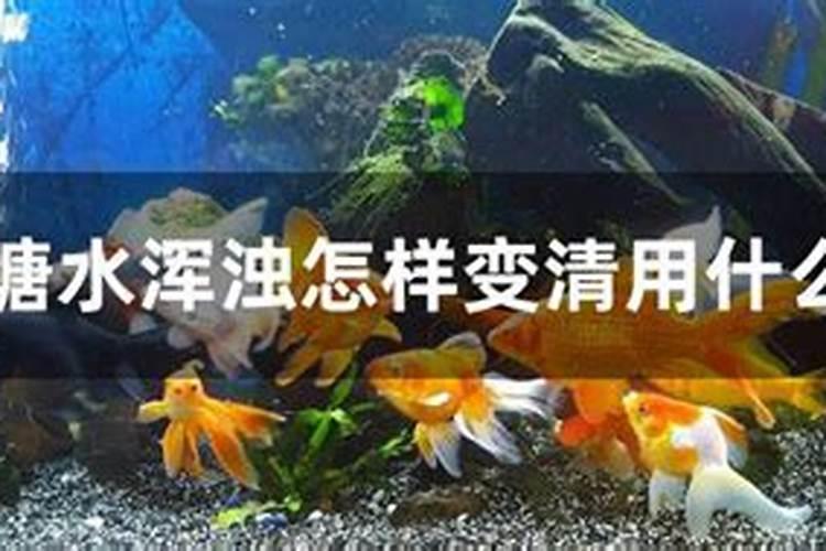 黄豆泡水是什么肥
