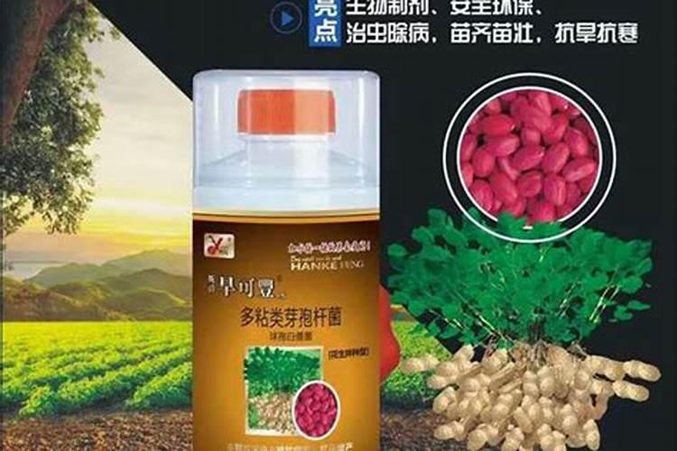 花生开花期施什么肥料