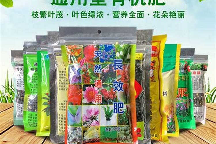 复合肥养花怎么使用正确