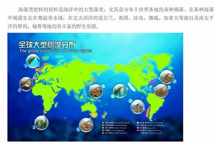 为什么加了盐水后萝卜会变软？