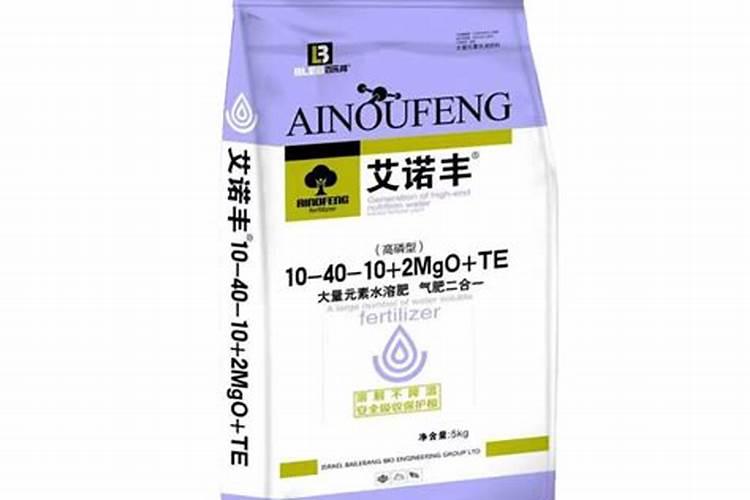 夏天给三角梅喂两口西瓜立马就恢复生机