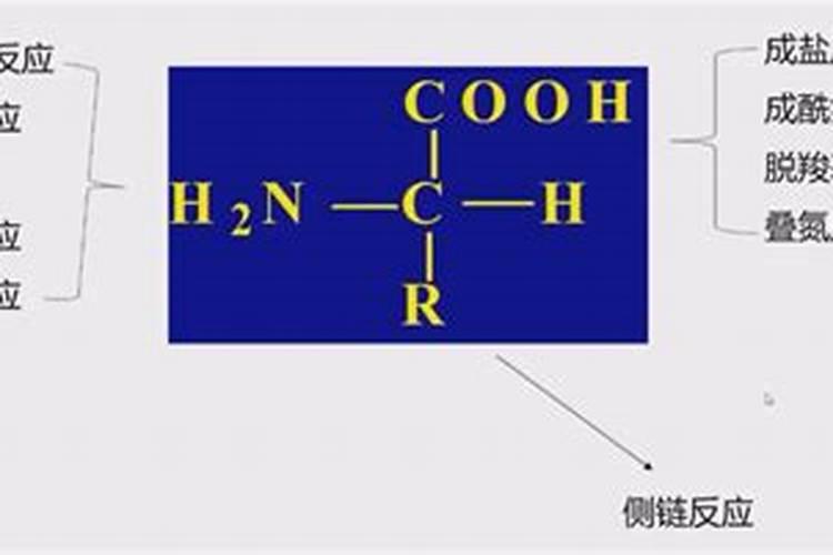 请问专家氨基酸有机液体肥,能和大量元素水溶肥一起使用吗？