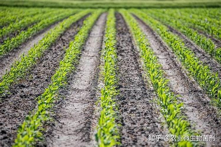 四川重钙粉多少钱一吨