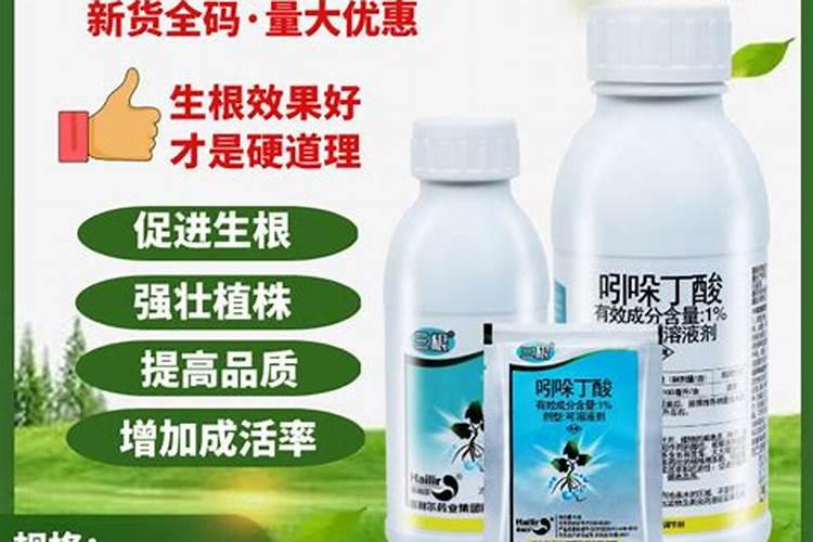红枫树最好的肥料是什么？