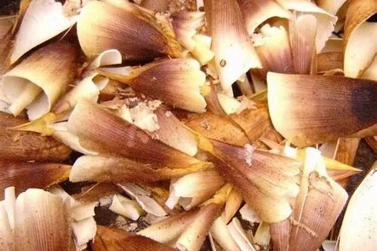怎样根据竹笋需肥特点进行施肥？