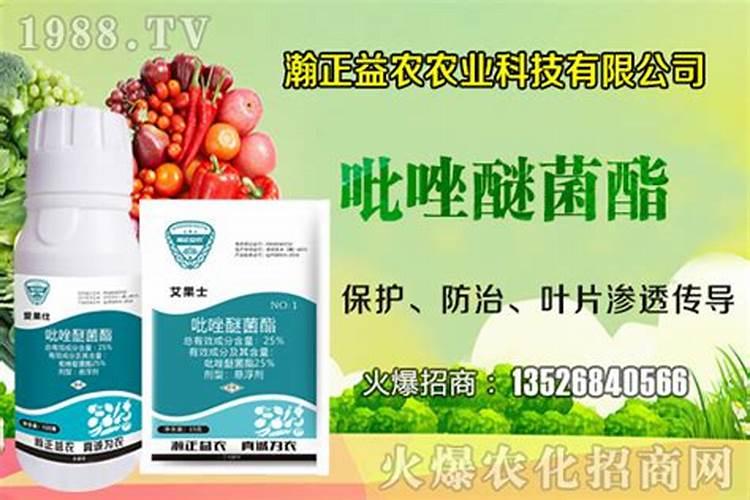 吡唑醚菌酯能和 磷酸二氢钾,钼酸铵,硼肥,芸苔素,杀虫剂一起混用吗？