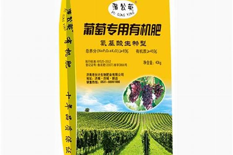 荔枝专用叶面肥什么好