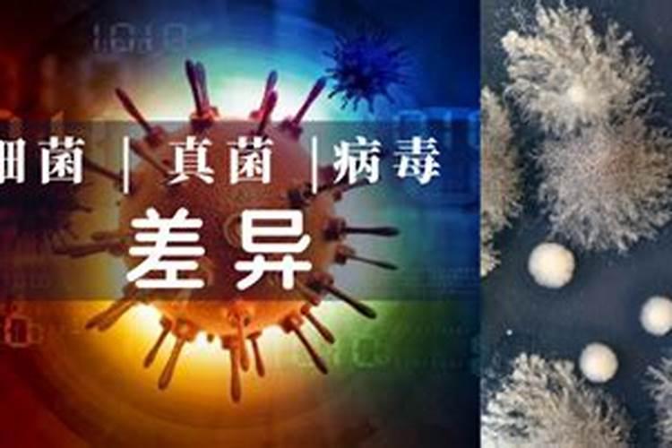 青岛明月蓝海生物科技有限公司明月海藻肥简介