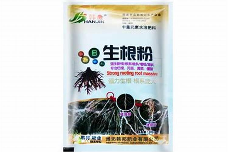 玉米如何使用叶面肥