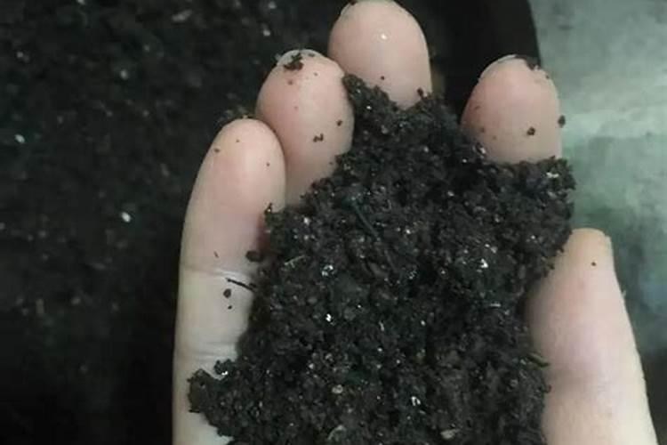 菜地土壤板结如何改良