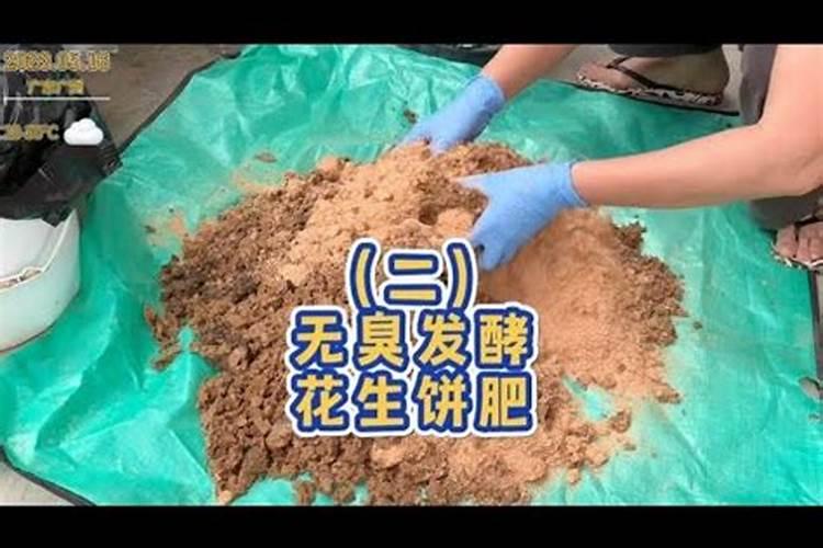 芸苔素几天打一次合适
