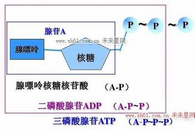 磷肥对植物的作用