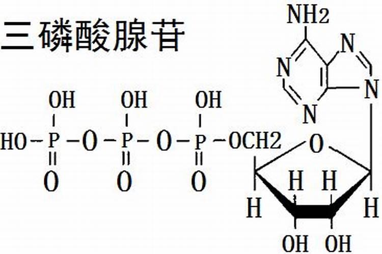 磷肥对果树的作用是什么？