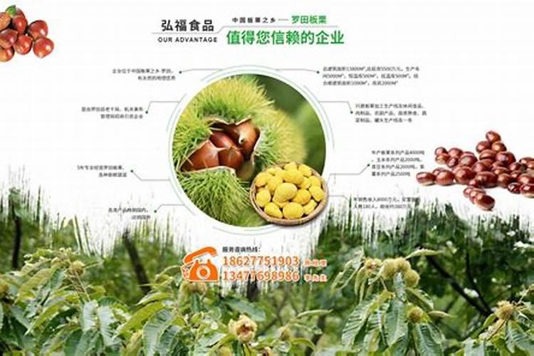 常用的板栗专用肥料有哪些