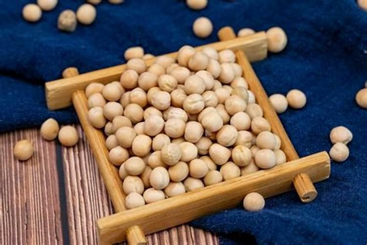 黄豆能进行生物固氮的植物