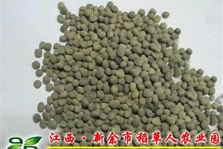 豌豆的套种很常见,豌豆怎么套种？