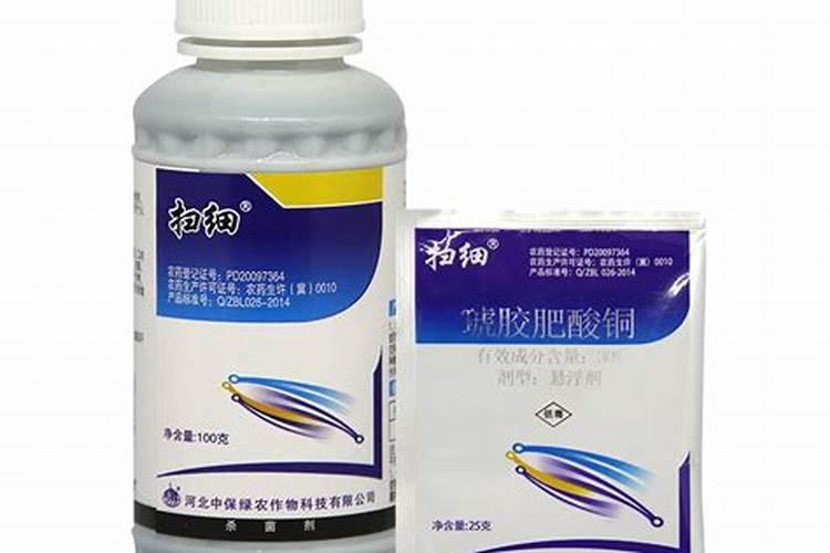 琥胶肥酸铜都治什么病