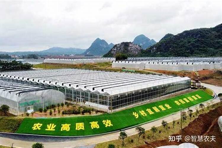 春天的兰花怎么养殖？