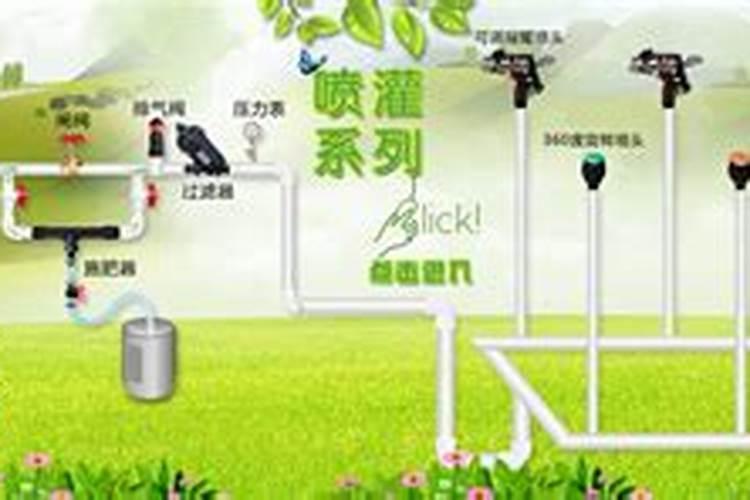 给黄瓜施什么肥好
