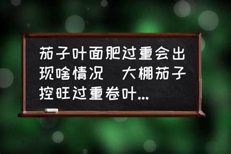 茄子施肥方法和注意事项