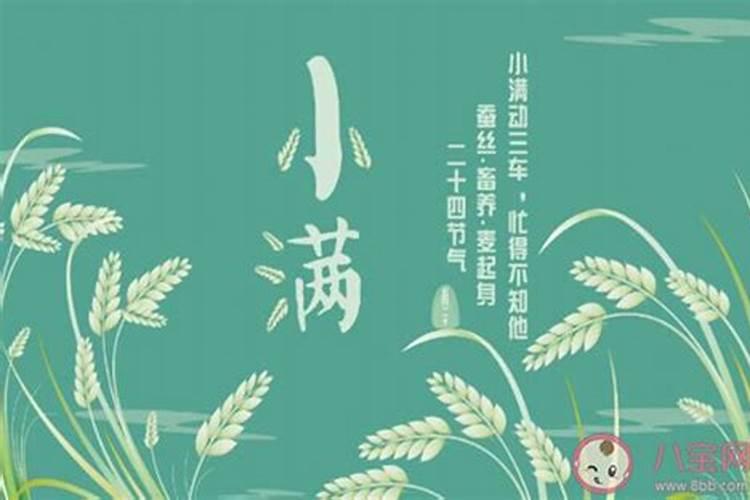 养花施肥顺口溜、养花浇水技巧