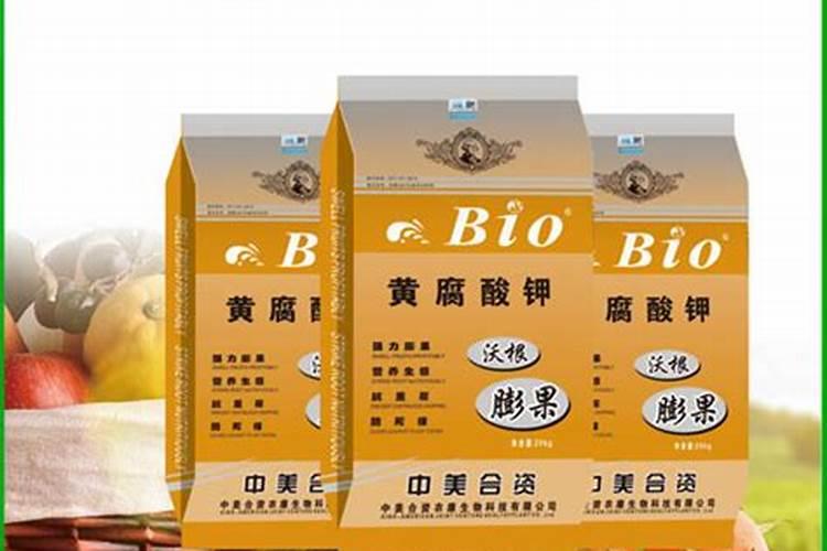 请问有谁知道这样的四季豆是什么病虫害？该如何防治？急!!