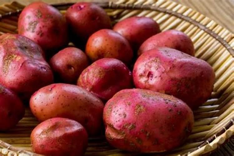 种土豆用什么肥料好 用什么肥料好种土豆
