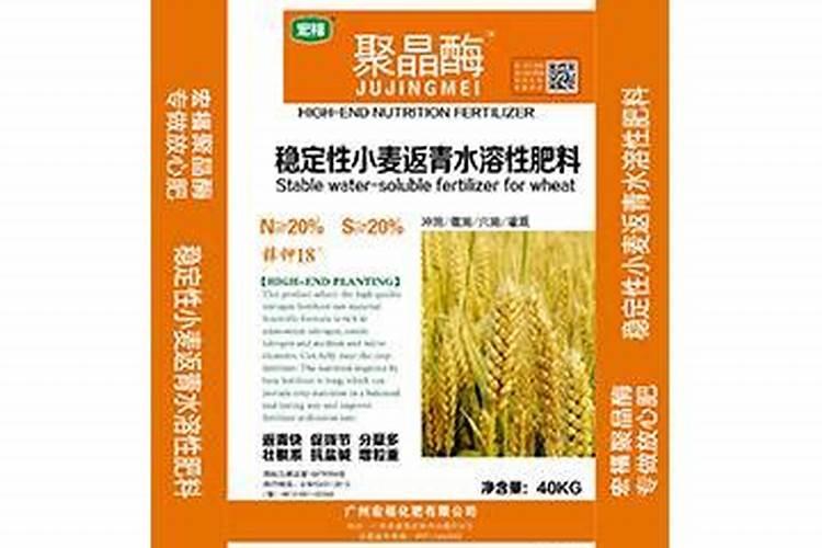 浇返青水上什么肥料