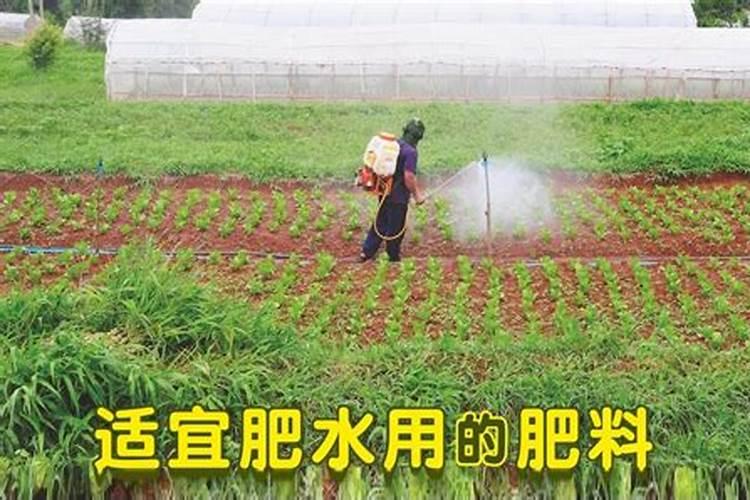 鱼池肥水撒什么肥料