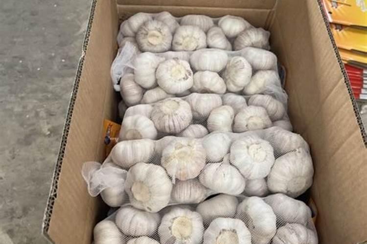 大蒜打叶面肥温度低怎么办