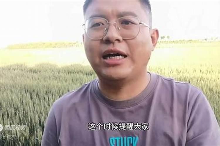 春天温度低小麦需要喷什么样的叶面肥？