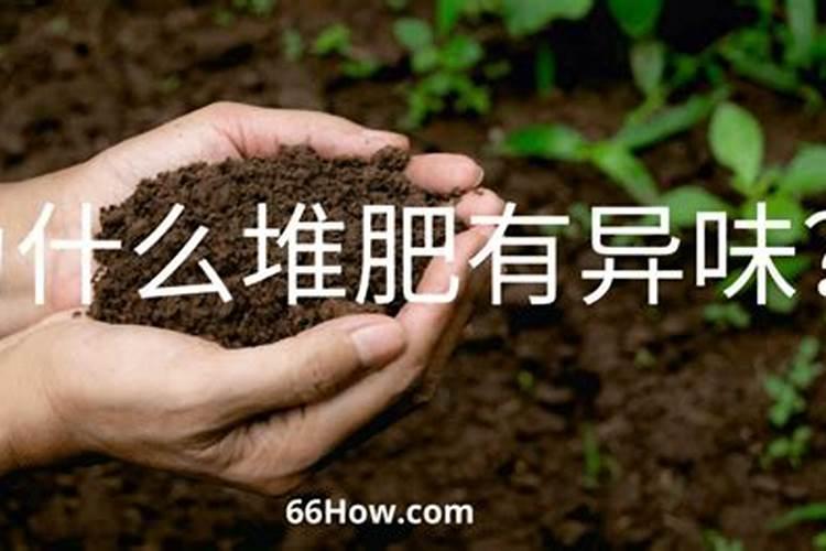 废物堆肥的消化方式主要有哪几种？