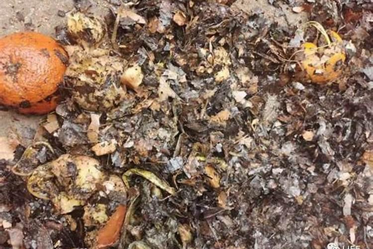 常用的粪便堆肥方式有哪些？