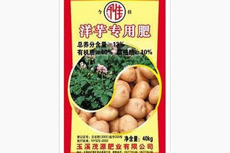 贵州山区种植洋芋一般亩产量多少斤