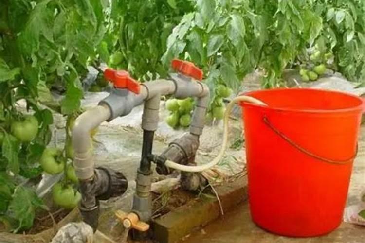 腐植酸有什么作用？腐植酸肥料的使用标准是什么？