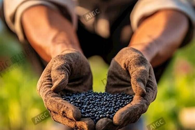 葡萄用什么肥料好
