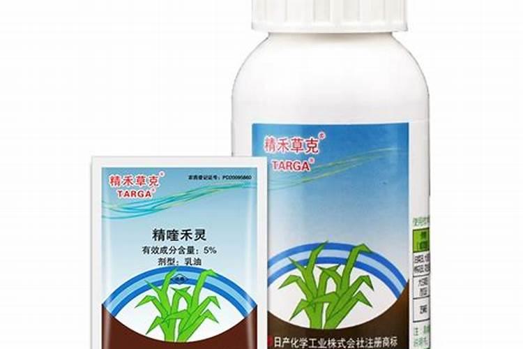 打了精喹禾灵可以施肥吗