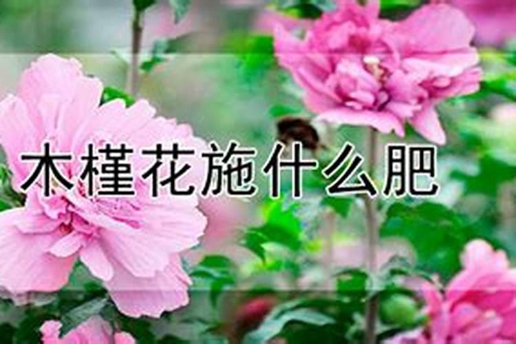 硫酸钾肥的正确使用方法