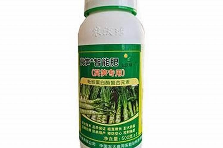 莴笋的养殖方法和注意事项
