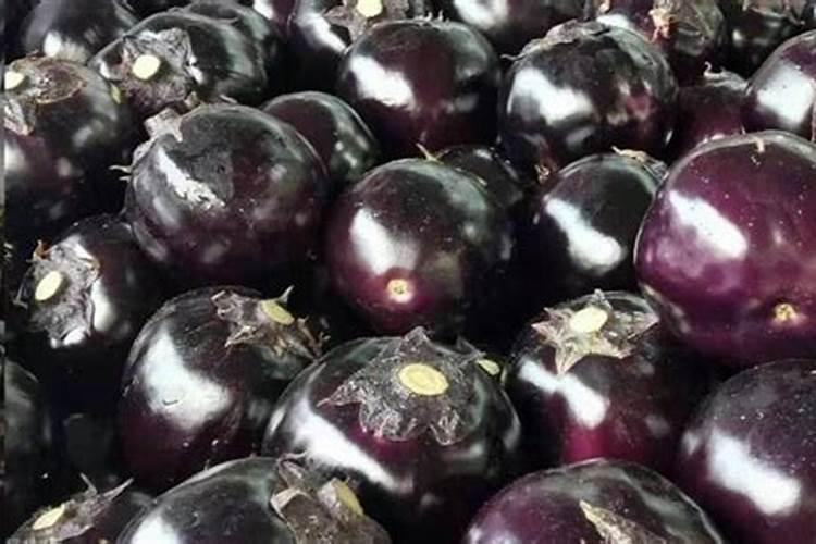 茄子高产用什么叶面肥好？茄子促花保果根茎块膨大素？