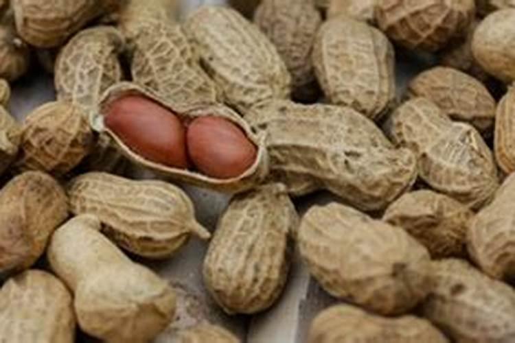 枣树打什么药多开花结果？