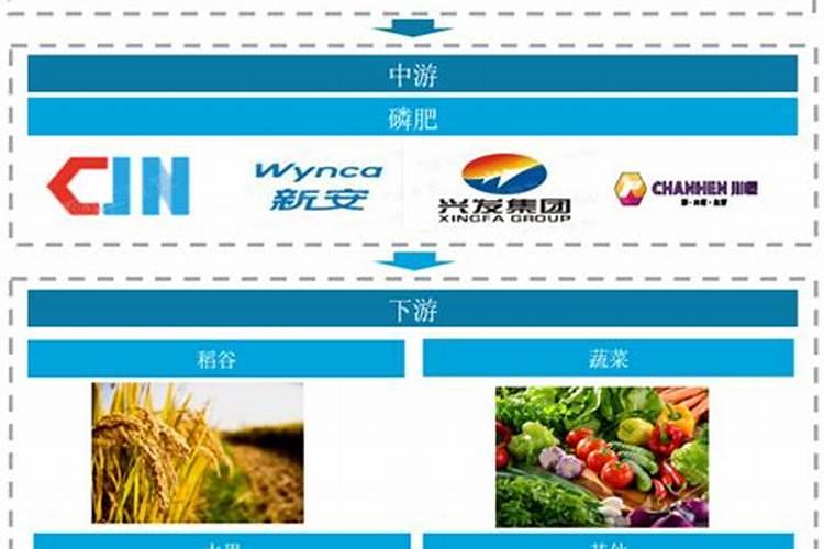 制造磷肥的原料