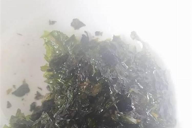 蝴蝶兰用水苔怎么养,养蝴蝶兰的苔藓哪里有(可自制)