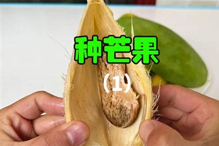 苹果树花露红打什么药最好