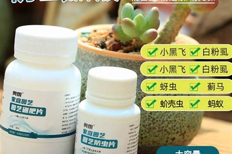 多肉营养液的主要成分？