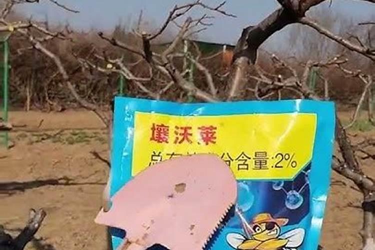 园林树木病虫害防治方法？