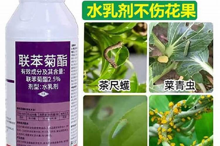 联苯菊酯氟啶虫酰胺你可以跟叶面肥混配吗