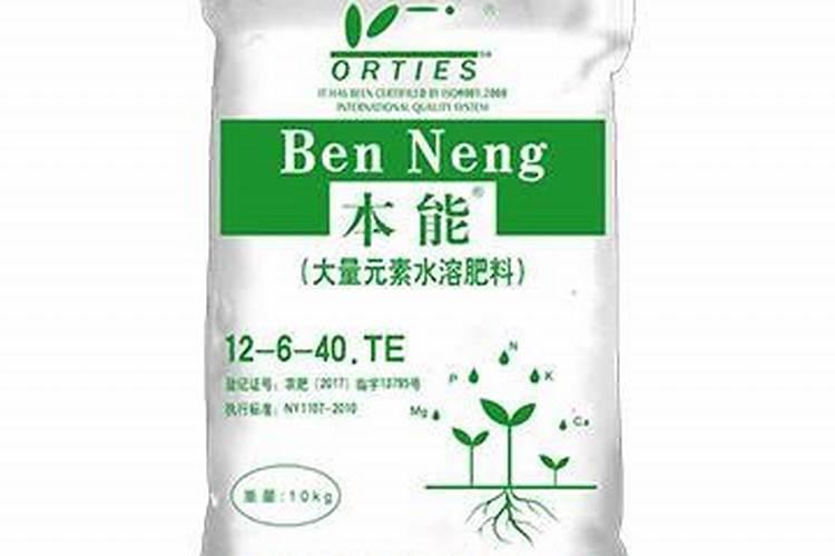 天脊16620硝酸钾水溶肥的批发价格是多少？